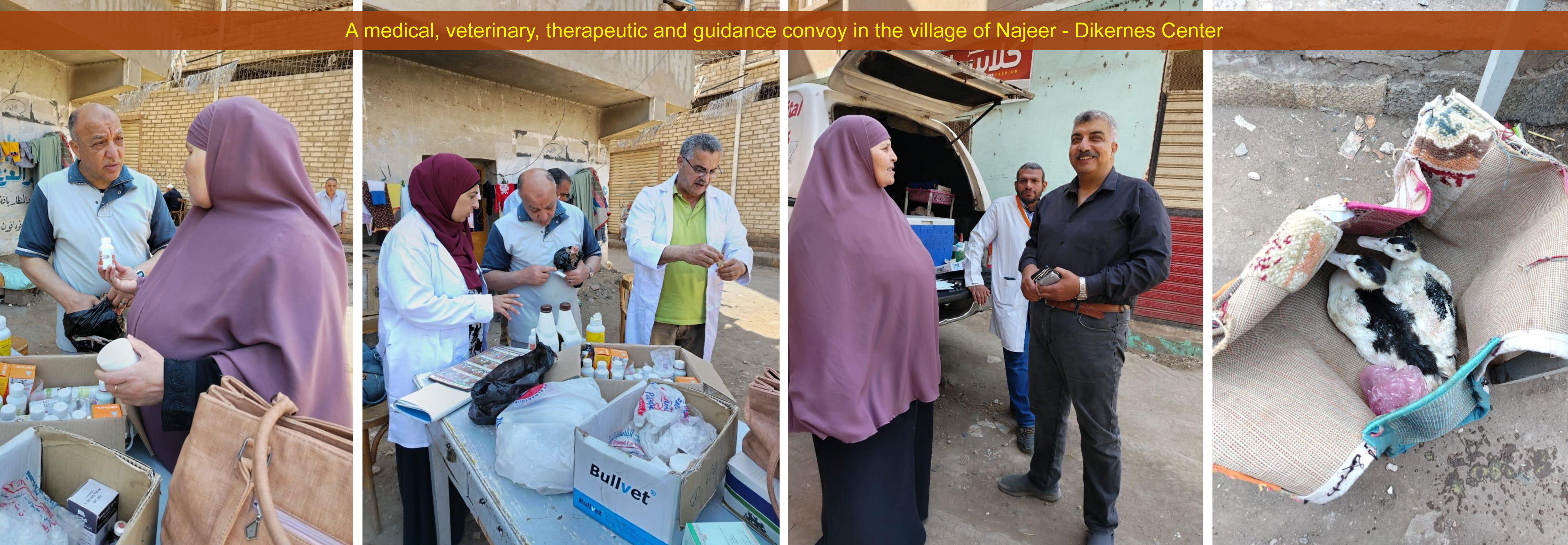 A medical veterinary therapeutic and guidance convoy in the village of Najeer - Dikernes Center, Monday, April 15, 2024