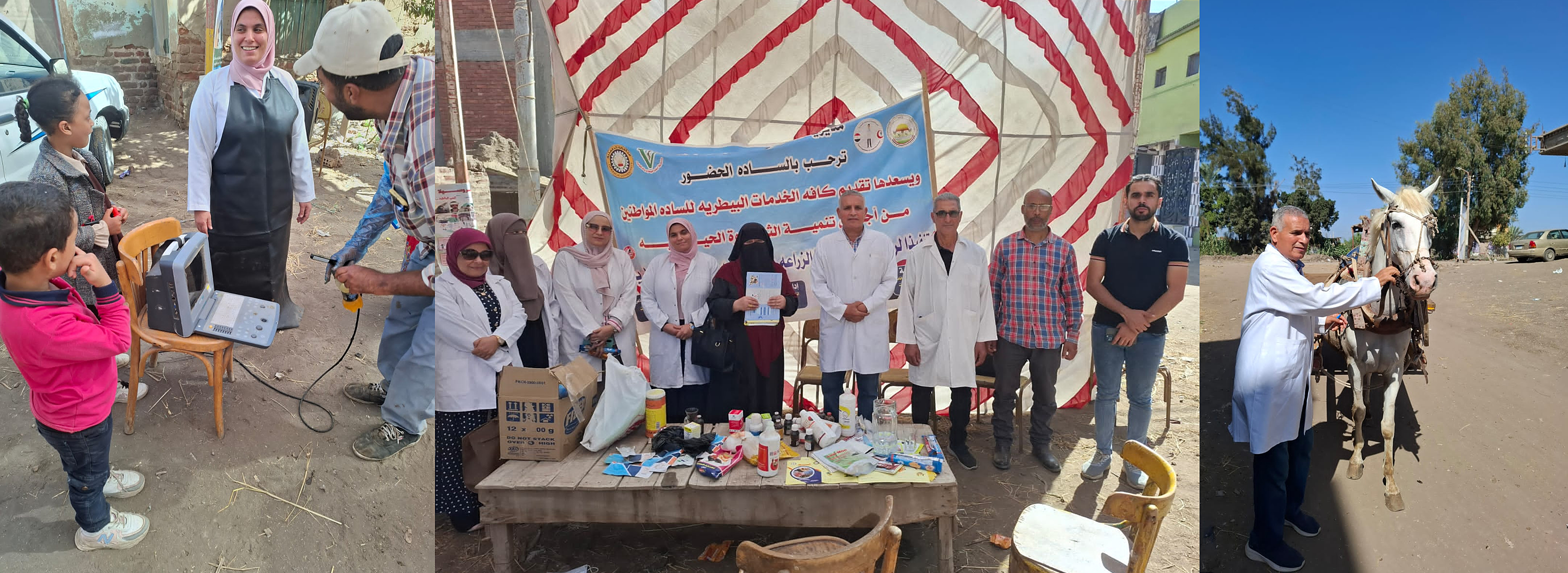 🐄 Veterinary Medical and Educational Convoy in Al-Rabeea Village, affiliated with Meet Sweid Veterinary Administration – Dikirnis Center, Dakahlia Governorate, on Tuesday, October 21, 2025  📣 Veterinary Medical and Educational Convoy 🐄🐑🐔