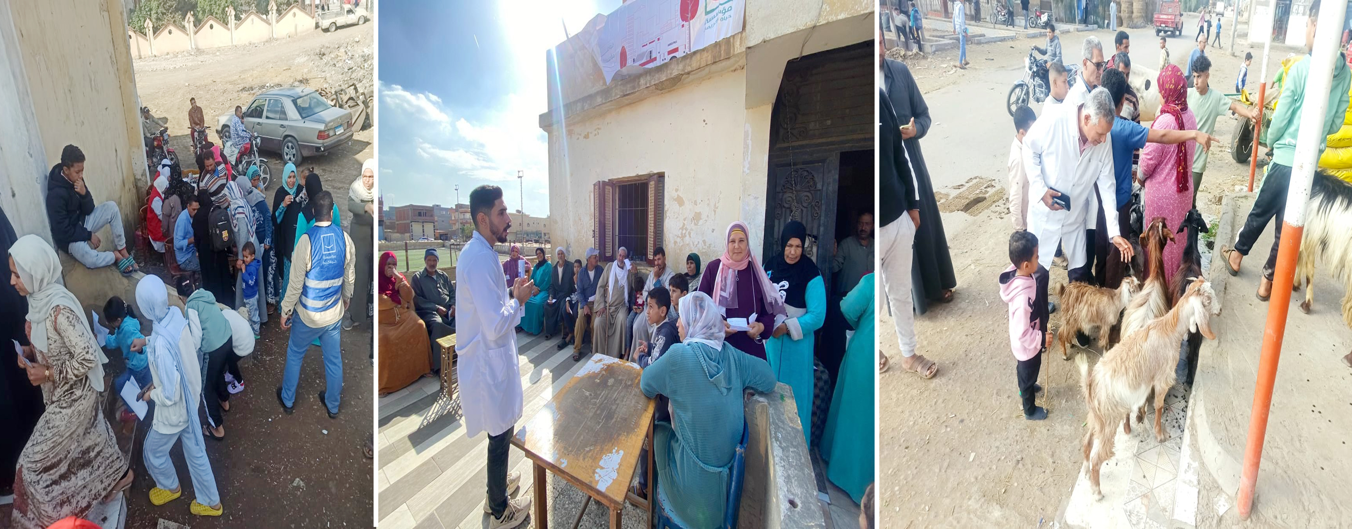 القافلة المتكاملة بقرية الحفير – مركز بلقاس – محافظة الدقهلية الخميس 4 ديسمبر 2025