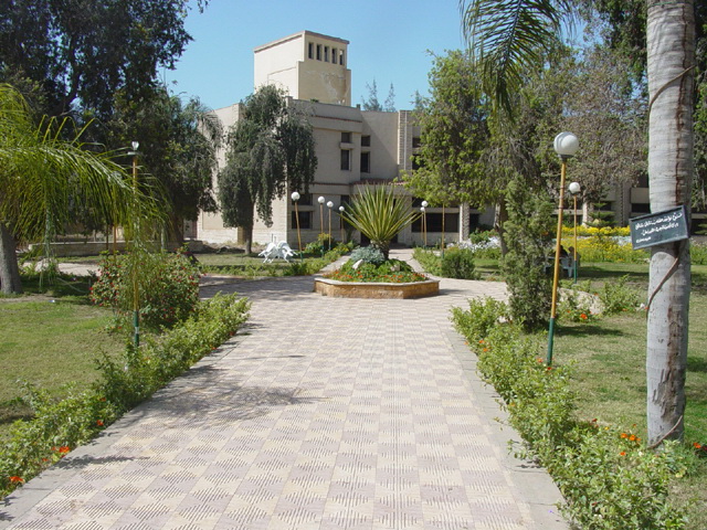 توزيع حصص الخبز على السادة اعضاء هيئة التدريس